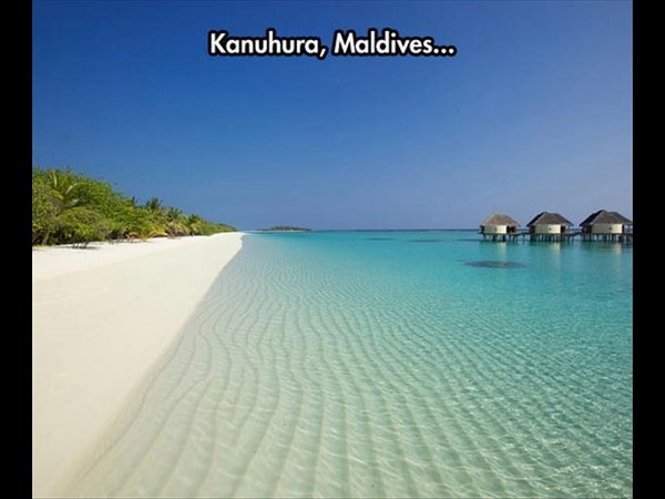 సోషల్ మీడియా థ్రిల్లింగ్ ఫోటోలు