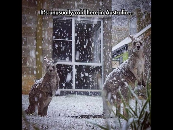 సోషల్ మీడియా థ్రిల్లింగ్ ఫోటోలు