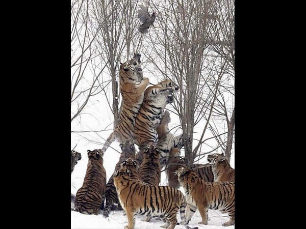 సోషల్ మీడియా థ్రిల్లింగ్ ఫోటోలు