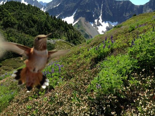 పానకంలో పుడకలు!!