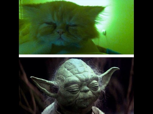 సోషల్ మీడియా ఫన్నీ చిత్రాలు