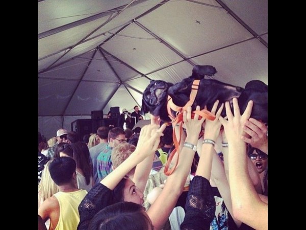 సోషల్ మీడియా ఫన్నీ చిత్రాలు