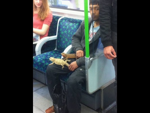 సోషల్ మీడియా ఫన్నీ చిత్రాలు