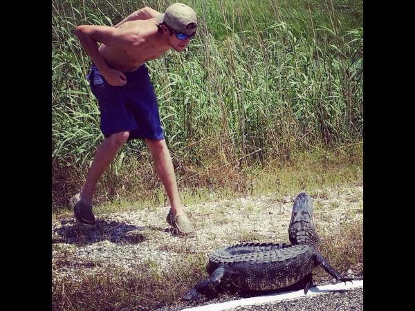 సోషల్ మీడియా ఫన్నీ చిత్రాలు