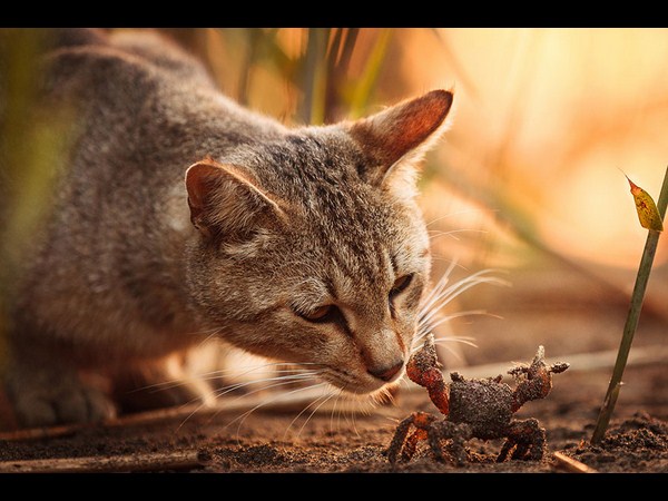 దృశ్యం చెప్పే సంగతులు!