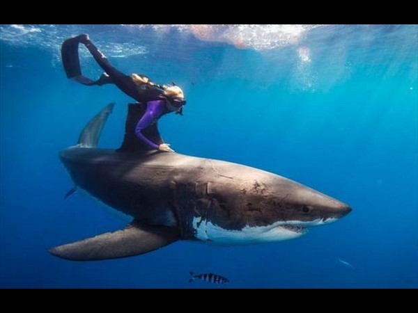 సోషల్ మీడియాలో హల్‌చల్ చేస్తన్న వినూత్న చిత్రాలు