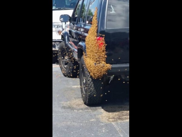 సోషల్ మీడియాలో హల్‌చల్ చేస్తన్న వినూత్న చిత్రాలు