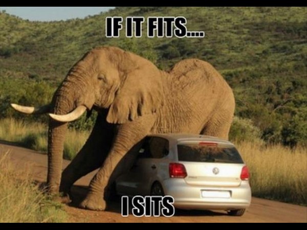 సోషల్ మీడియాలో హల్‌చల్ చేస్తన్న వినూత్న చిత్రాలు