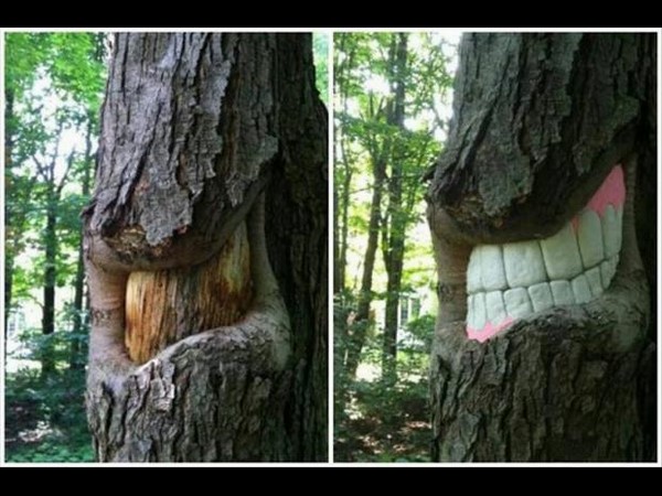 సోషల్ మీడియాలో హల్‌చల్ చేస్తన్న వినూత్న చిత్రాలు