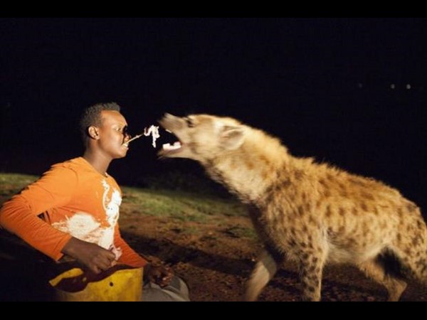 సోషల్ మీడియాలో హల్‌చల్ చేస్తన్న వినూత్న చిత్రాలు