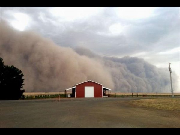 సోషల్ మీడియాలో హల్‌చల్ చేస్తన్న వినూత్న చిత్రాలు