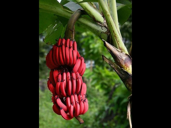 సోషల్ మీడియాలో హల్‌చల్ చేస్తన్న వినూత్న చిత్రాలు