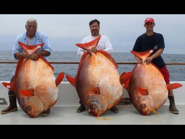 సోషల్ మీడియాలో హల్‌చల్ చేస్తన్న వినూత్న చిత్రాలు