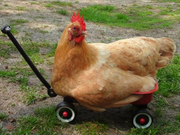 సోషల్ మీడియాలో హల్‌చల్ చేస్తన్న వినూత్న చిత్రాలు