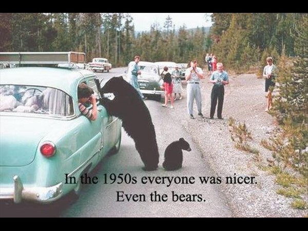 సోషల్ మీడియా సౌజన్యంతో