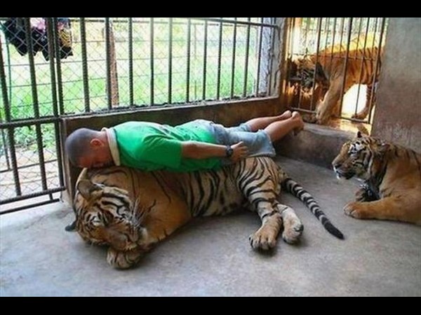 సోషల్ మీడియా సౌజన్యంతో