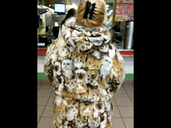 సోషల్ మీడియా సౌజన్యంతో