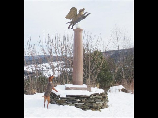 సోషల్ మీడియా సౌజన్యంతో