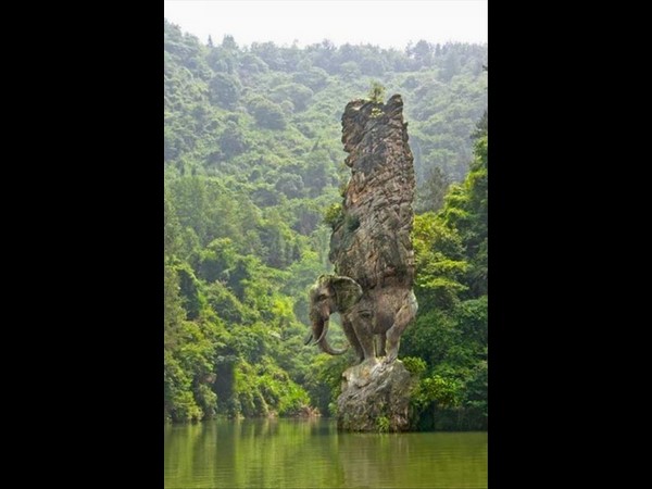 సోషల్ మీడియా సౌజన్యంతో