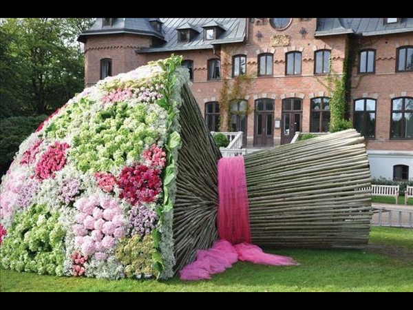 సోషల్ మీడియా సౌజన్యంతో