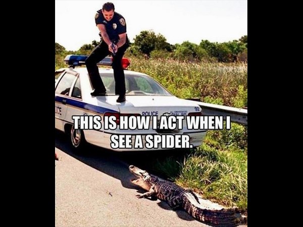 సోషల్ మీడియా సౌజన్యంతో