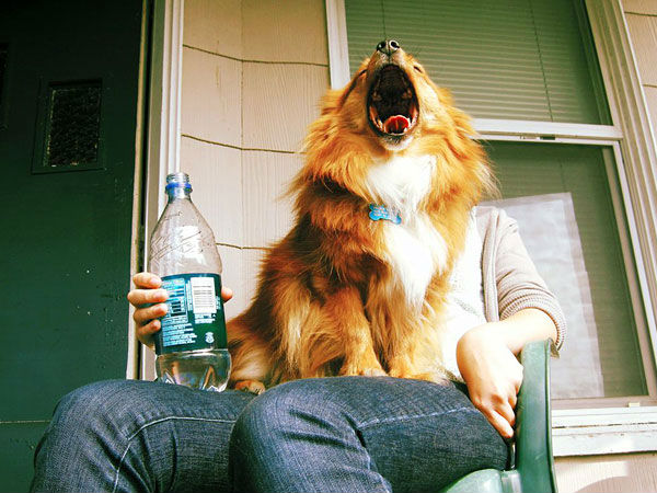  క్రియేటివ్ ఫోటోలు.. మళ్లి మళ్లి చూస్తారు!! 