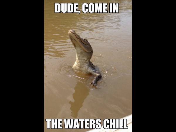 వింత మనుషులు.. వెర్రి చేష్టలు!