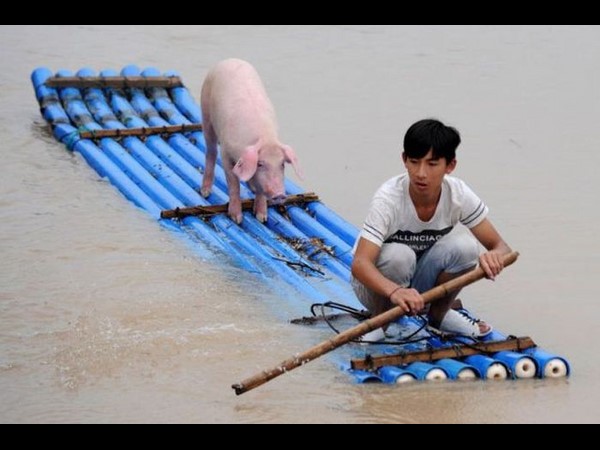 సోషల్ మీడియా వారాంతం.. మీ కోసం!!