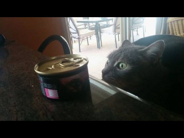 సోషల్ మీడియా వారాంతం.. మీ కోసం!!