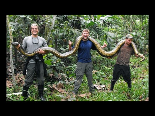 సోషల్ మీడియా వారాంతం.. మీ కోసం!!