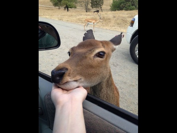 సోషల్ మీడియా వారాంతం.. మీ కోసం!!