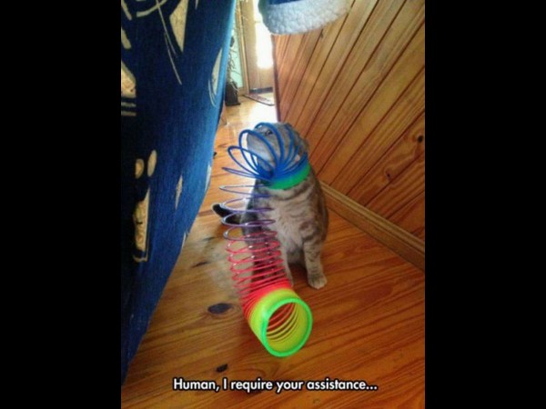 సోషల్ మీడియా వారాంతం.. మీ కోసం!!