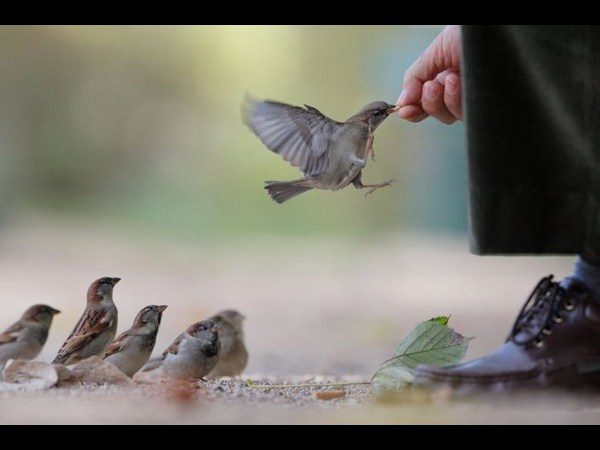 సోషల్ మీడియాలో సరదాల కాలక్షేపం