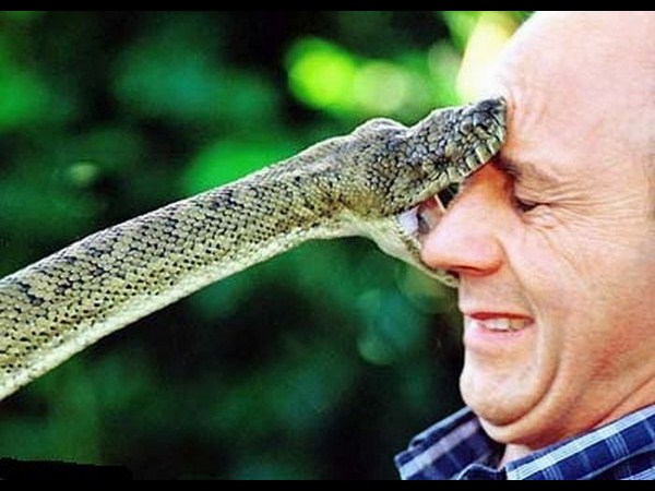 సోషల్ మీడియాలో సరదాల కాలక్షేపం