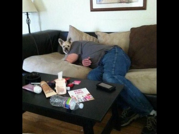 సోషల్ మీడియాలో సరదాల కాలక్షేపం