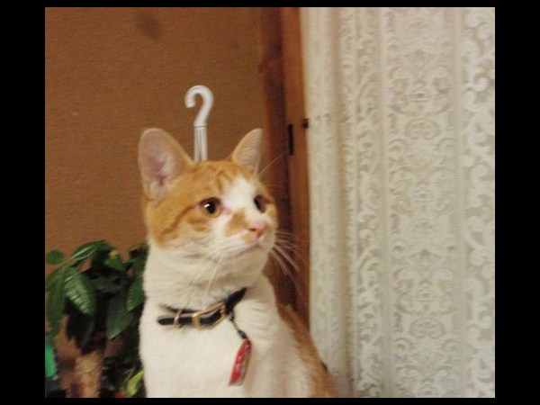 అసాధారణ ఫోటోలు... భిన్నమైన కోణాల్లో