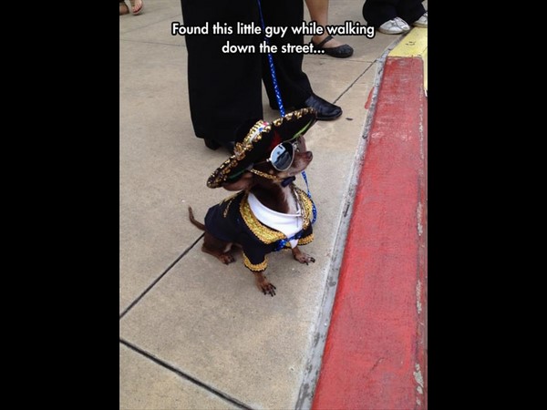 సోషల్ మీడియా.. భిన్న కథల సారాంశం!