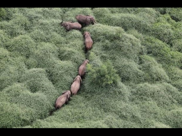 సోషల్ మీడియా.. భిన్న కథల సారాంశం!