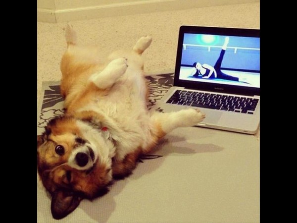 సోషల్ మీడియా.. భిన్న కథల సారాంశం!