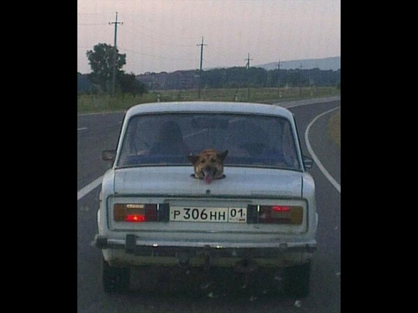 సోషల్ మీడియా.. భిన్న కథల సారాంశం!