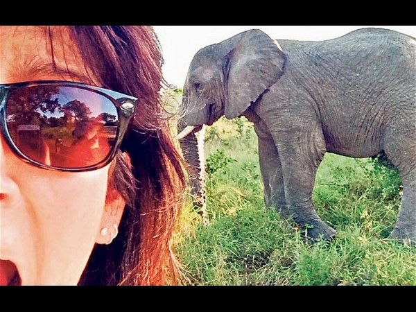 సాహస సెల్ఫీలు!