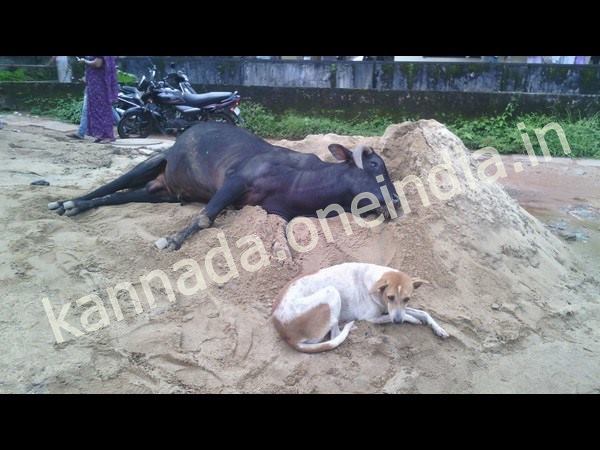 సోషల్ మీడియా హంగామా... మీకోసం!!