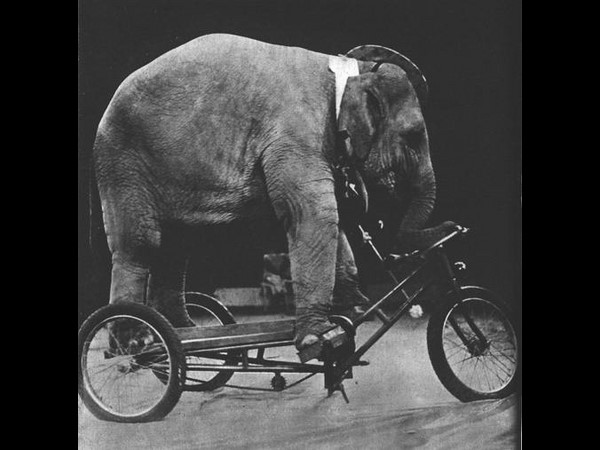 సోషల్ మీడియా హంగామా... మీకోసం!!