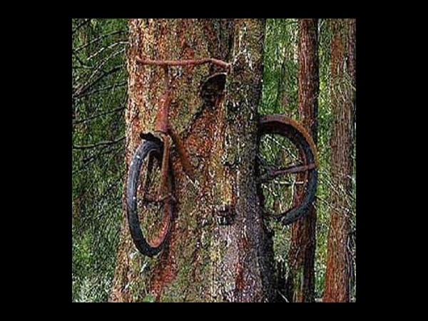 సోషల్ మీడియా హంగామా... మీకోసం!!