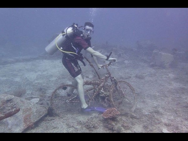 ప్రపంచ వింతలు@సోషల్ మీడియా