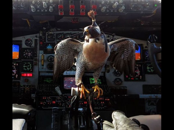 ప్రపంచ వింతలు@సోషల్ మీడియా