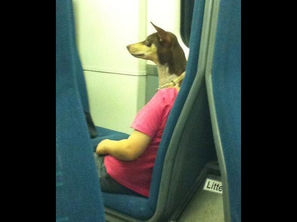 కెమెరాకు చిక్కిన విచిత్ర ఫోటోలు!!