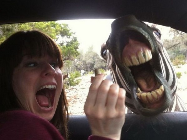 సమ్‌థింగ్ సమ్‌థింగ్ సోషల్ మీడియా!!