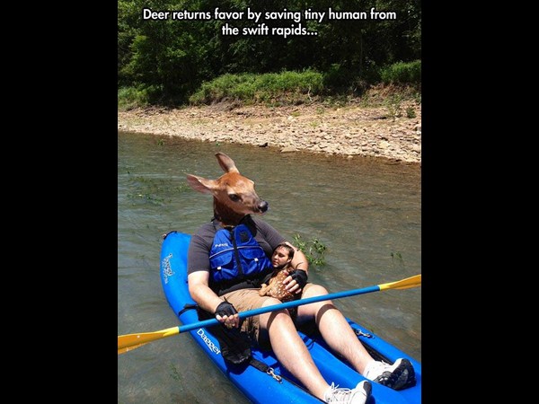 పిచ్చి ముదిరి రచ్చకెక్కింది!!