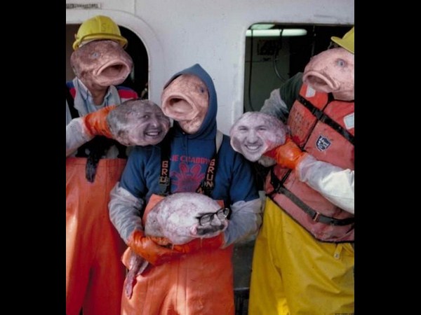 పిచ్చి ముదిరి రచ్చకెక్కింది!!